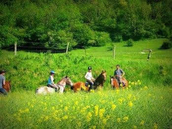 Au Mesnil Le Bas Bray Bed & Breakfast Bures-en-Bray Luaran gambar